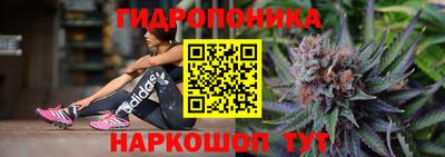 кокс Баксан