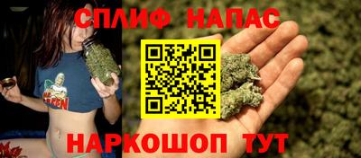 прущая мука Ачхой-Мартан