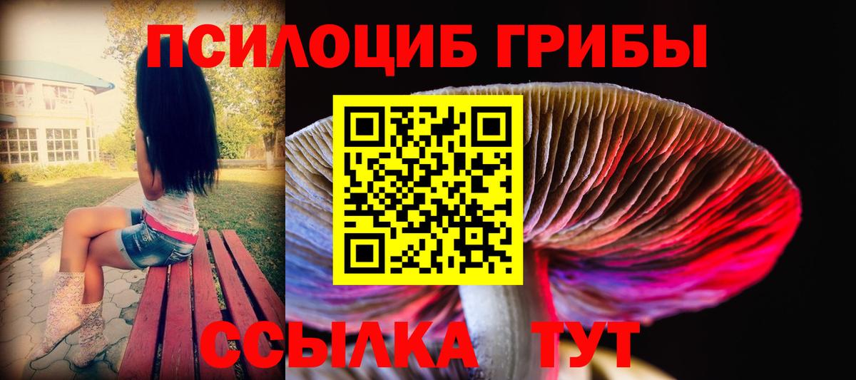 Псилоцибиновые грибы Psilocybe  Вход с VPN  Борзя 